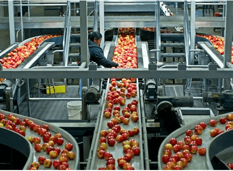 Erp Software Food Industry
